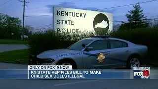 Kentucky state rep files bill to make child sex dolls illegal