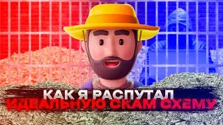 КАК Я РАСПУТАЛ ИДЕАЛЬНУЮ СКАМ СХЕМУ