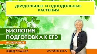 Двудольные и Однодольные растения. Теория и практика  ЕГЭ/ОГЭ 2017.