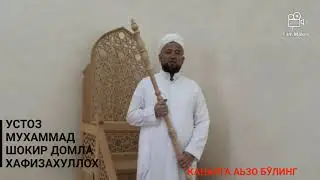 НАМОЗДА ЗАМ СУРА ЎҚИШ ТАРТИБИ. УСТОЗ МУХАММАД ШОКИР ДОМЛА ХАФИЗАХУЛЛОХ