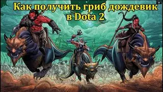 Где найти гриб дождевик в Dota 2: Событие Пустыня Друуда