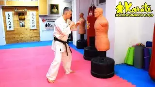 Маваши гери с маскировкой Киокушин Каратэ | Mawashi Geri with Kyokushin Karate Disguise