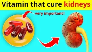 Top 10 Vitamins That Help Stop Proteinuria and Heal Your Kidneys (Must-Watch Guide)