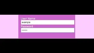 HTML form with input type password || HTML and CSS