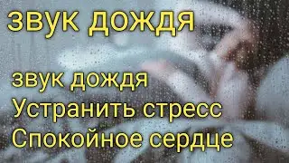 Звуки дождя для сна на черном экране - Естественный звук дождя для отдыха, сна, учебы