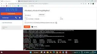 Docker Networking Tutorial | Docker Networking | Docker Bridge Network || Docker Custom Bridge