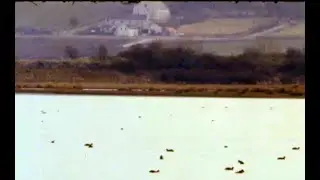 Inch Island & The Grianán Estate: Donegal - 1982
