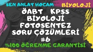 ÖABT BİYOLOJİ FOTOSENTEZ SORU ÇÖZÜMLERİ 6