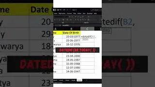 Excel Secrets : Time Machine : Excel Age Calculator 