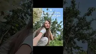 Идеально, не правда ли? 