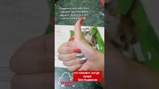«Щедрые» подарки от Евроопт на день торговли. Котики будут довольны  