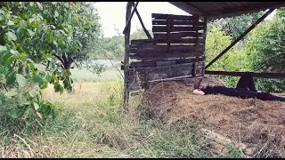 КУПИЛ УЧАСТОК В ДЕРЕВНЕ С ДОМОМ! Что меня ждет?? Куча работы... Экскурсия по територии