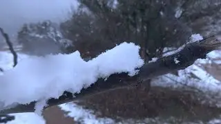 Fargo Season 5 Teaser 4 'The Human Branch'
