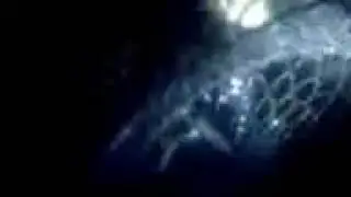 Крупный карась весом 1470грамм!