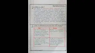 🔹SQL DATABASE 🔹PART 1 📗 || Handwritten Notes || SQL interview Questions & Answers || MySQL