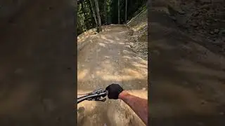 Flow trail at Whistler Bike Park!