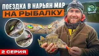 #2 Нарьян-Мар. ГДЕ ОЛЕНИ И РЫБА - ГЛАВНОЕ СОКРОВИЩЕ. РЫБАЛКА 2024 г.