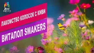 Лакомство-колосок Витапол Smakers | Обзор лакомство-колосок Витапол Smakers