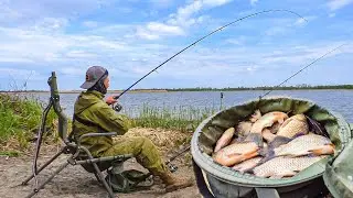 ЗАБРОСИЛ ПОД БЕРЕГ И СРАЗУ МОЩНЫЕ ПОКЛЁВКИ! ЖОР КАРАСЯ ВЕСНОЙ! Рыбалка весной 2023