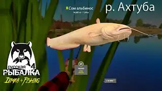 РУССКАЯ РЫБАЛКА 4. СОМ АЛЬБИНОС.🐳 С БЕРЕГА !) Р. Ахтуба