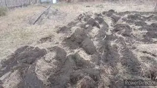 Пашем фрезой заброшенный огород