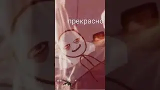 Мемы и мемы 