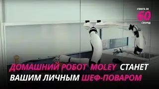 Домашний робот Moley станет вашим персональным шеф-поваром