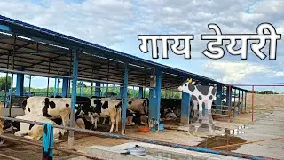 TECTOR Se JA RHE गाय डेयरी PR || MY FIRST VLOG VIDEO || 