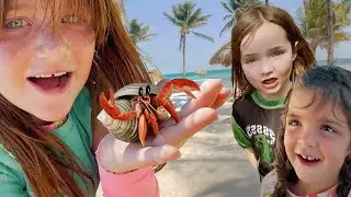 WE FOUND HERMiT CRABS!! Beach Animals, Sand Castles, and Playing in the Pool with Adley Niko & Navey