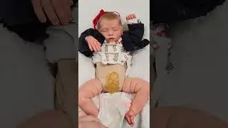 Do Reborns Poop?