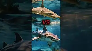 🌊 Ocean Showdown: Epic Battle Between the Deadliest Marine Creatures! 🦈🐙