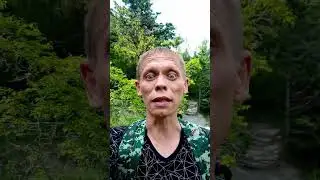 Вместо 🍄 ГРИБОВ - нашёл 🐢 ЧЕРЕпаху 🐢