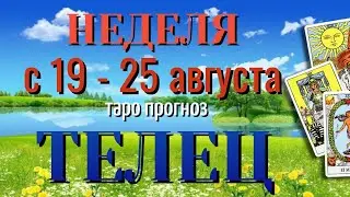 ТЕЛЕЦ 🌷🌷🌷 НЕДЕЛЯ с 19 - 25 АВГУСТА 2024 года Таро Прогноз ГОРОСКОП Angel Tarot