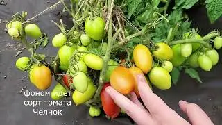 Где меня можно найти, если ютуб у вас не грузится и не работает