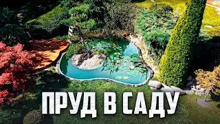 Сделали в саду пруд мечты с рыбой и лотосами
