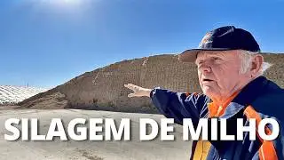 162 MIL LITROS DE LEITE POR DIA COM 3600 VACAS LEITEIRAS  - STONE RIDGE DAIRY, ESTADOS UNIDOS 🇺🇸