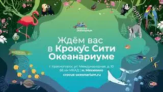 Океанариум Крокус Сити