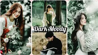 Dark Moody presets - Lightroom Mobile preset - Moody dark presets/ Moody presets/ Dark presets