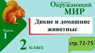 Дикие и домашние животные. Окружающий мир. 2 класс, 1 часть. Учебник А. Плешаков стр. 72-75