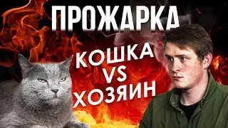 ПРОЖАРКА: Кошка Versus Хозяин