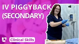 IV Piggyback (Secondary) - Clinical Nursing Skills | 