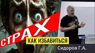 СТРАХ.  Сидоров Георгий.  #познавательное #рекомендации #сидоров#страх#страхипроработка