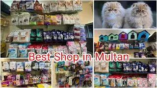 Cat & Dog Food Wholesale Shop | Cat food price in Multan Pakistan | Pet Shop | Pet Accessories