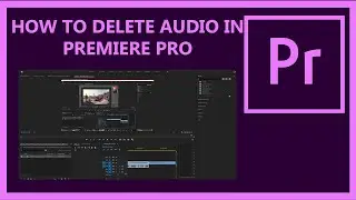 HOW TO DELETE AUDIO IN PREMIERE PRO