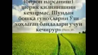 Хамманинг хохши орзуси...Абдуллох домла