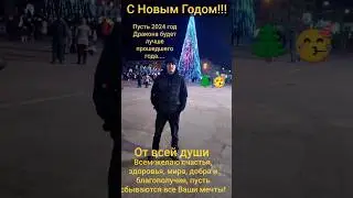 С Новым Годом!!!