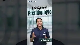 Master the Pteridophyte Life Cycle | NEET 2025 Biology 
