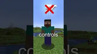 The Secret Behind Entity 303 In Minecraft...