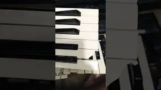 TROCA DAS TECLAS DO YAMAHA PSR-530