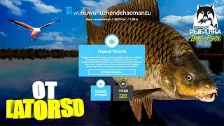 Русская рыбалка 4. 🎣 оз. Янтарное 🐳💦 РЕДКИЙ ТРОФЕЙ от LATORSO 👀